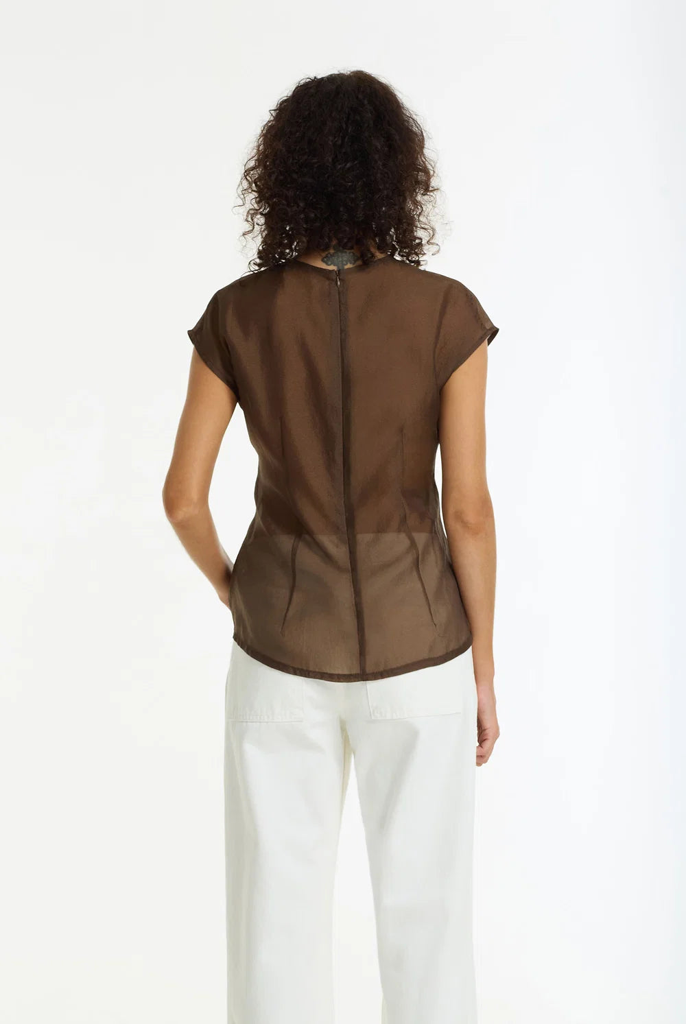BLAK Refined Romance Sheer Pintuck Top - Chocolate